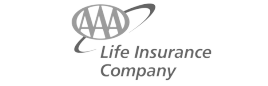 AAA Life-logo_Gray