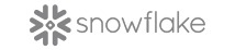Snowflake Logo